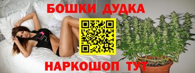 a pvp Канаш