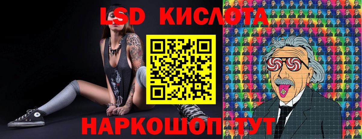 Конопля Лесной