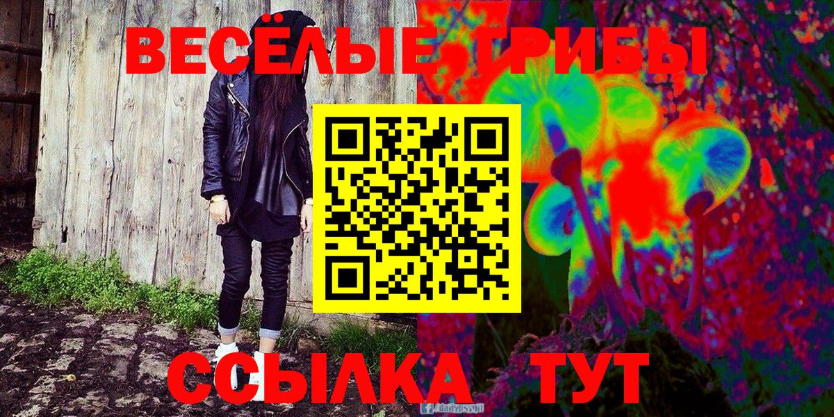 Галлюциногенные грибы мухоморы Лесной