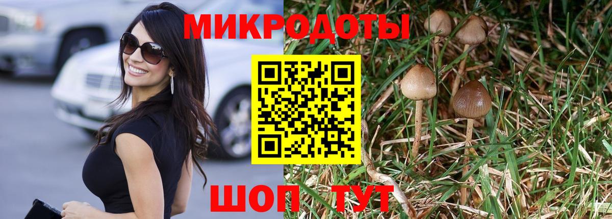 Псилоцибиновые грибы Magic Shrooms  Вход с VPN  Галлюциногенные грибы Psilocybine cubensis  Лесной 